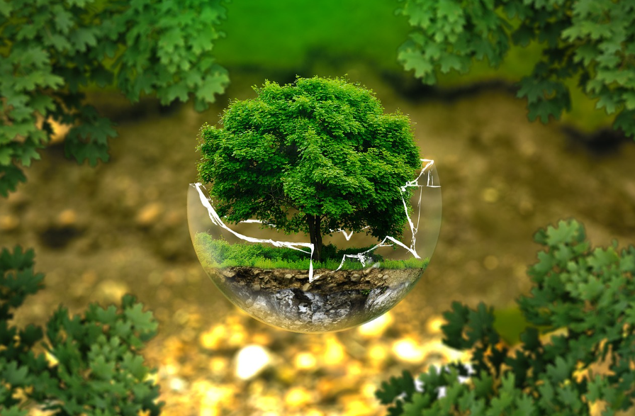 내 소비가 지구에 미치는 영향, 생각해봤나요?