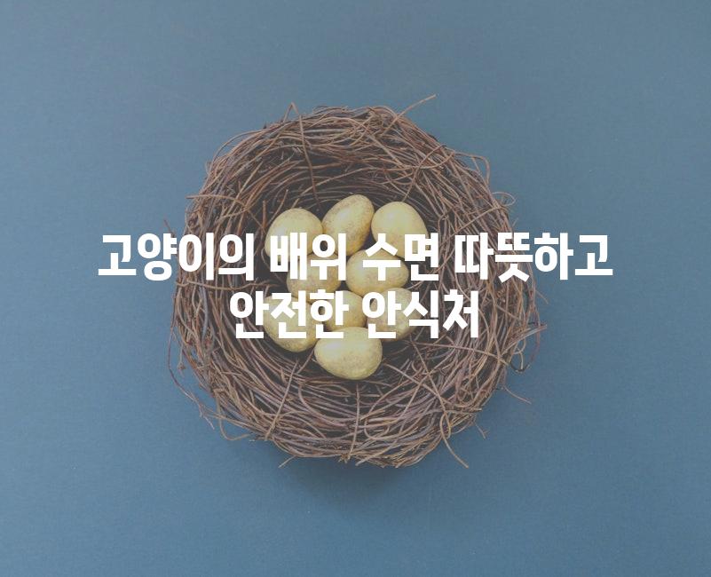 고양이의 배위 수면 따뜻하고 안전한 안식처