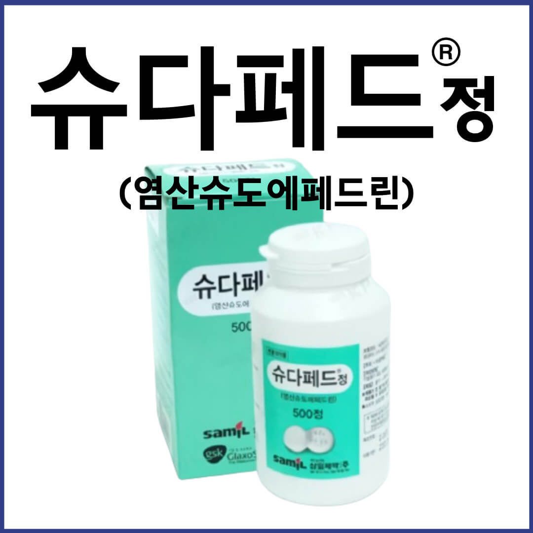슈다페드정