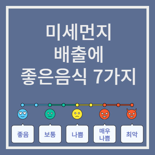 미세먼지 배출에 좋은음식 7가지