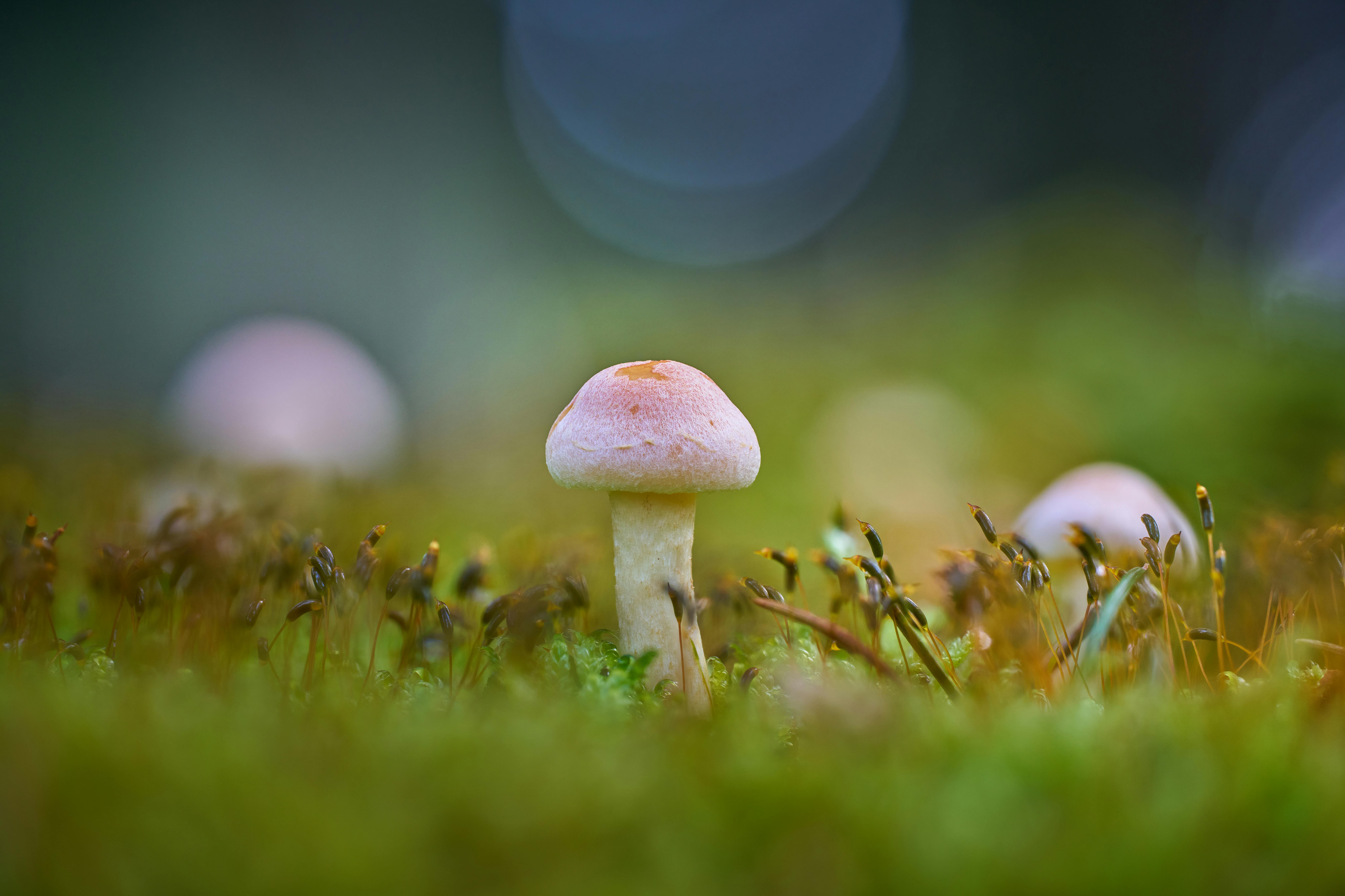 주방에 작은 벌레가 꼬이는을 상징하는 이미지