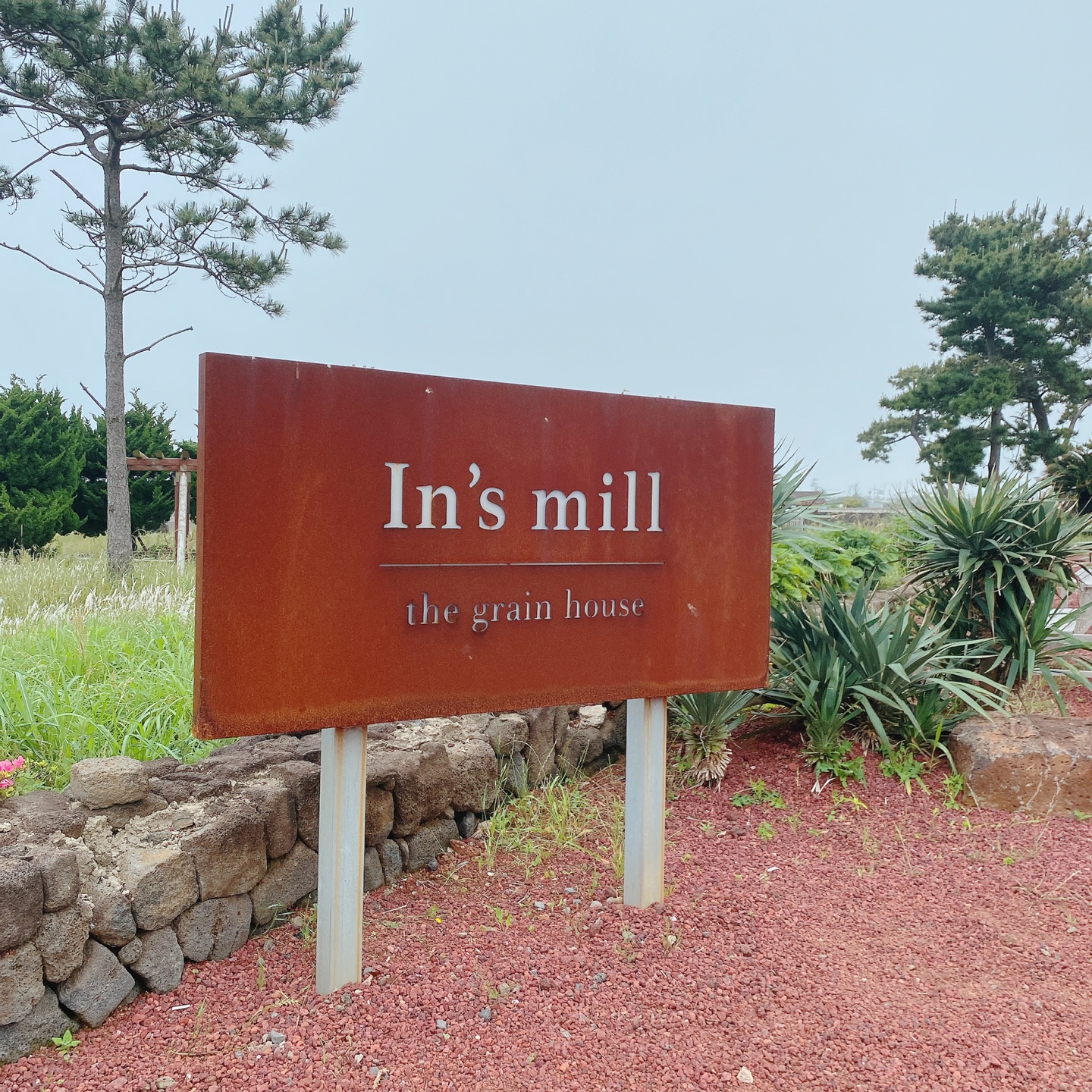 제주 서귀포 대정 서림연대 인스밀 곡물창고 개조카페 in's mill 보리개역 보리 청보리 제주 특산물