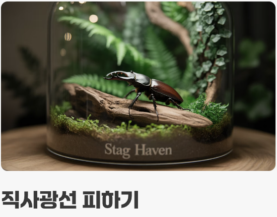 이것만은 꼭! '관리'의 핵심 포인트