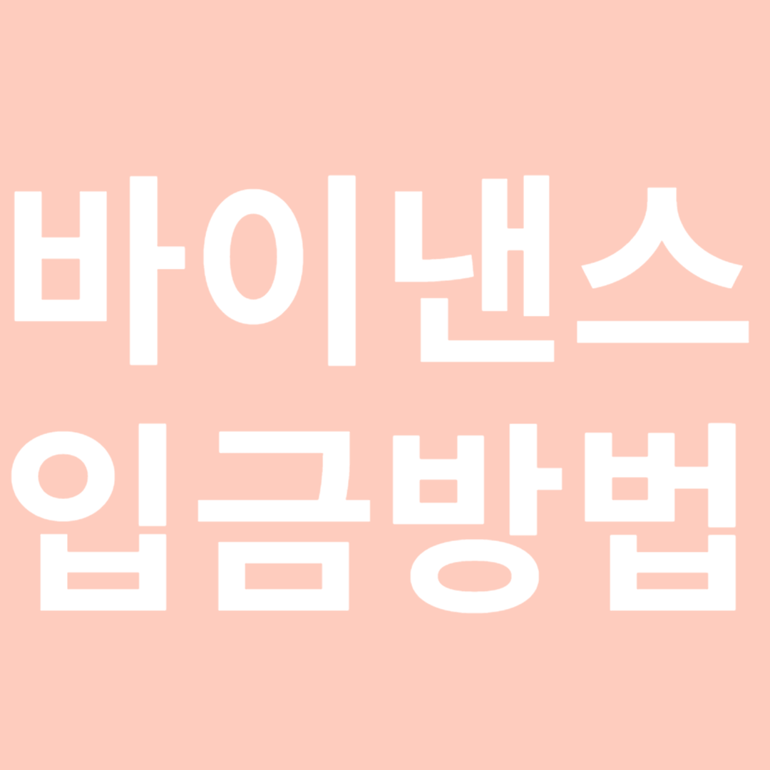 바이낸스 입금 방법