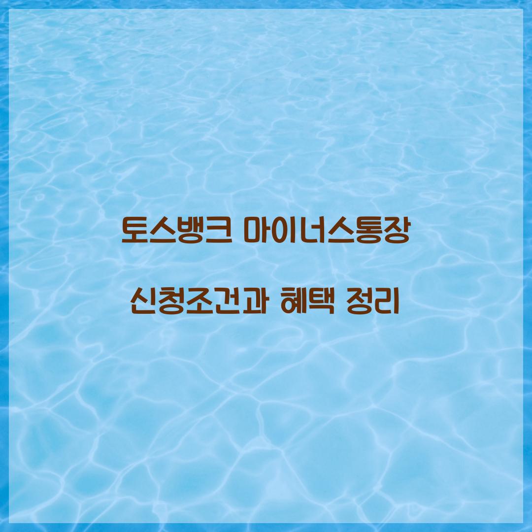토스뱅크 마이너스통장