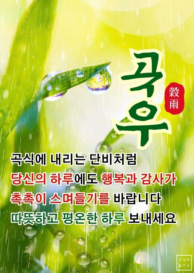 곡우 절기에 내리는 단비와 풀잎 위 이슬방울이 어우러진 감성적인 아침 인사말 이미지