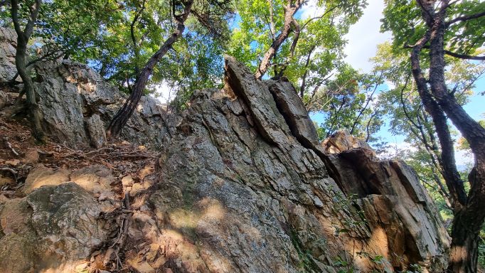 명품 바위, 나무가지 사이로 푸른 하늘,
