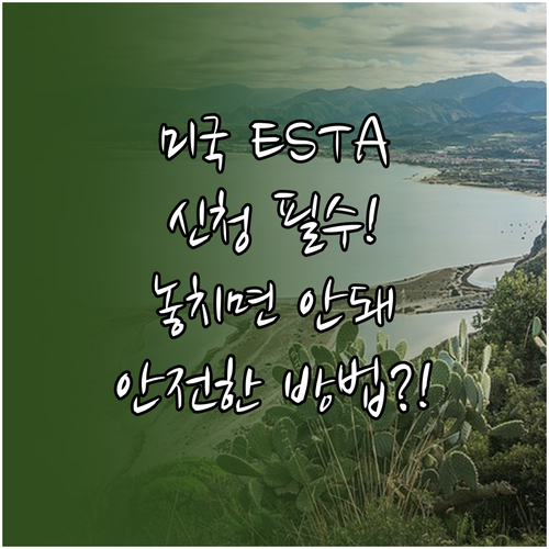 안전한 미국 ESTA 신청을 위한 핵..