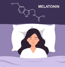 멜라토닌 효능, 부작용, 많은 음식 총정리 (2024ver)