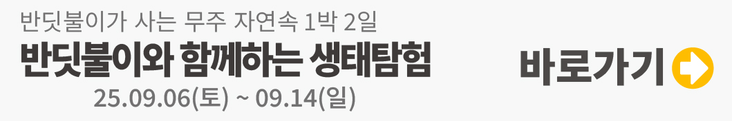 무주반딧불축제 2025, 자연이 빚어낸 빛의 축제