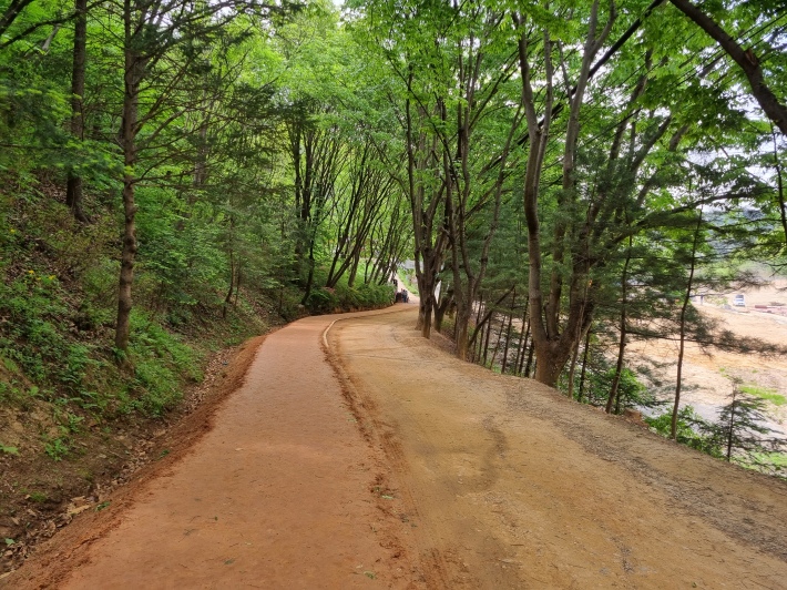 계족산-황톳길