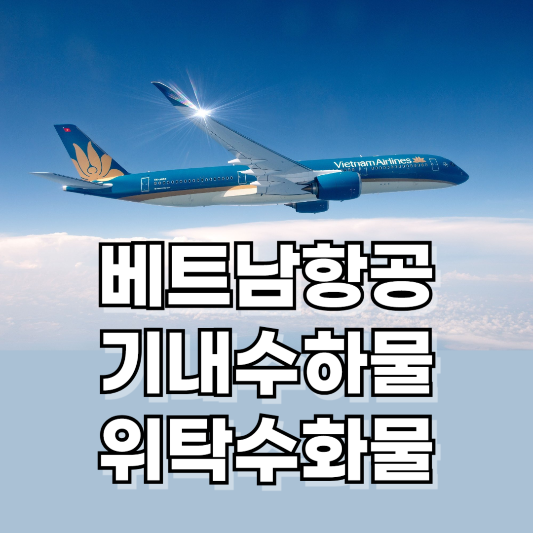 베트남항공 기내수하물, 위탁수화물 규정