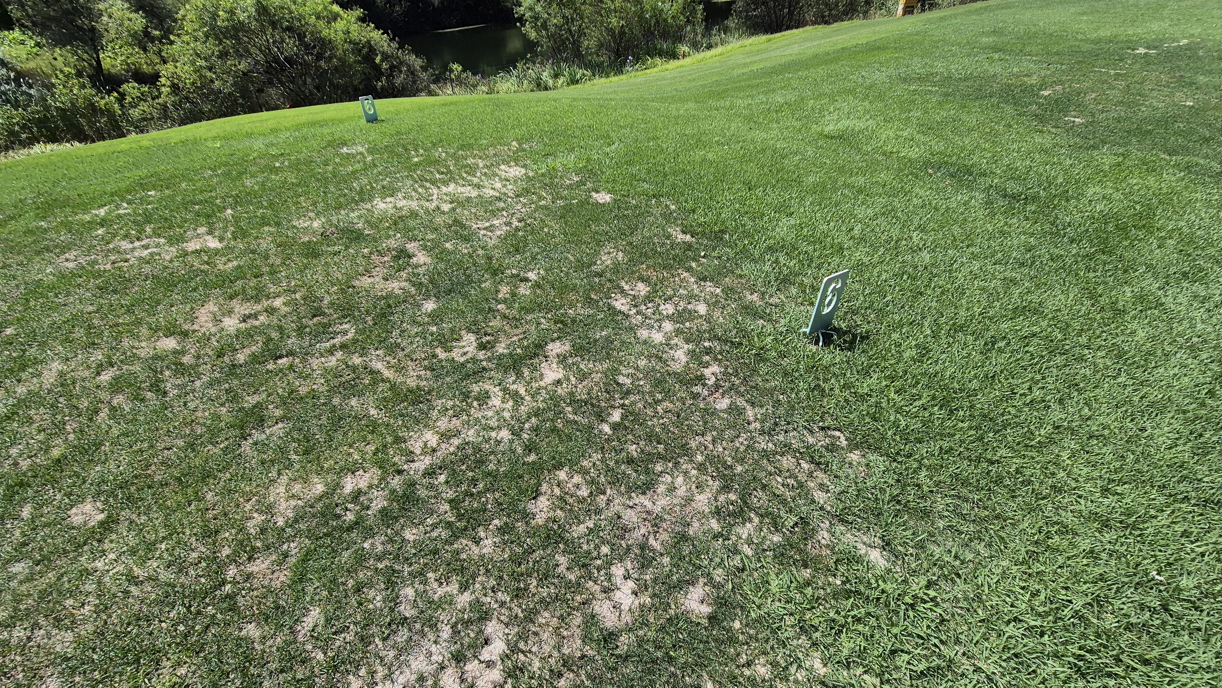 골프존카운티 천안 라운드 후기