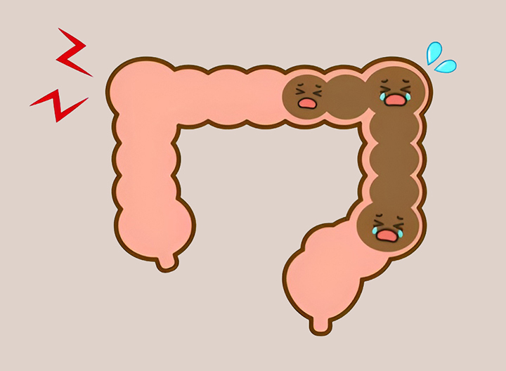 소화-기능-개선과-해독-작용