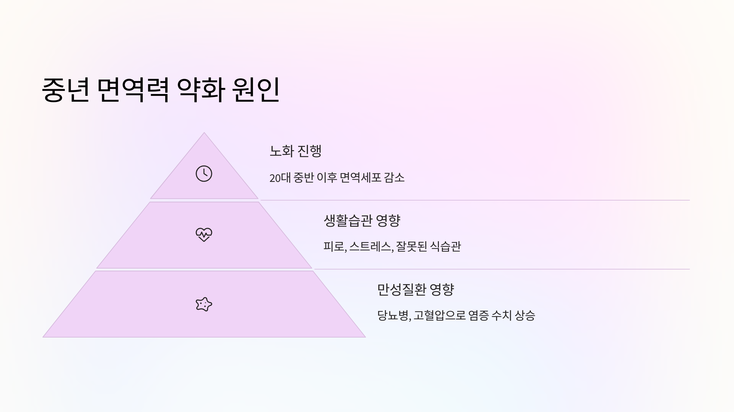 🧬 중년 면역력 왜 약해질까?