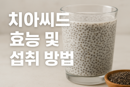 치아씨드 효능 및 섭취 방법
