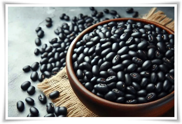 텃밭 &quot;6월, 서리태 심으세요!&quot; 내 손으로 직접 키워보는 검은 보석!