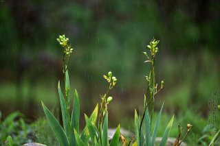 2025년 말복 날씨