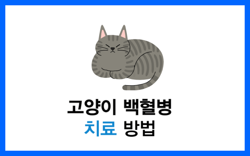 고양이-백혈병-치료-방법-썸네일