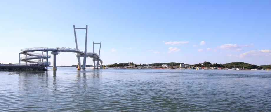 드르니항 맛집부터 튤립축제까지