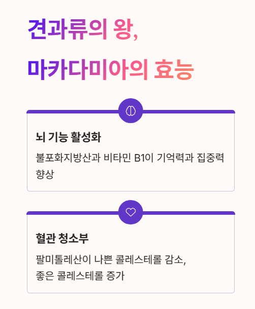 견과류의 왕, 마카다미아의 효능