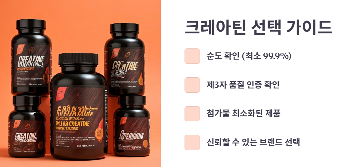 크레아틴 복용 최종 점검!