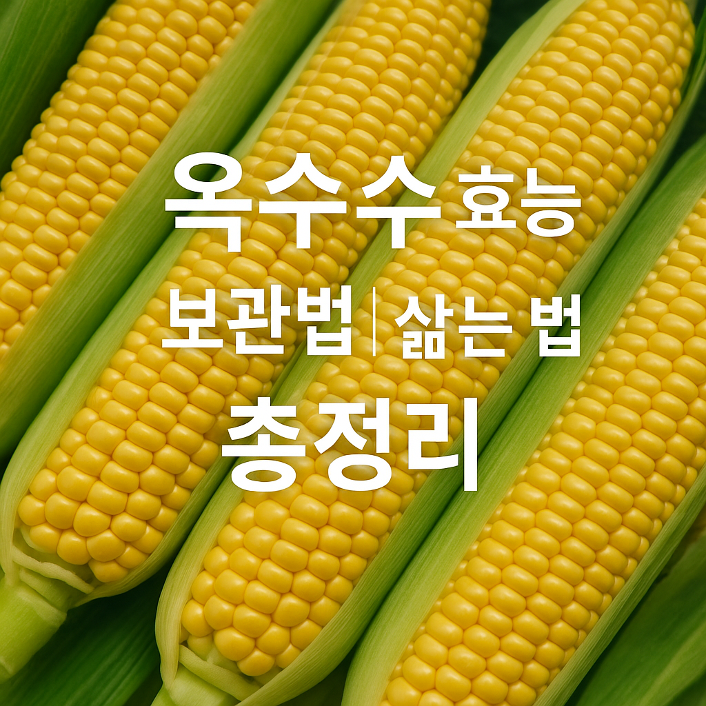 옥수수 효능, 보관법, 삶는 법 총정리 썸네일