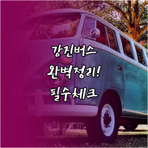 강진 군내버스 시간표와 가우도 다산초..