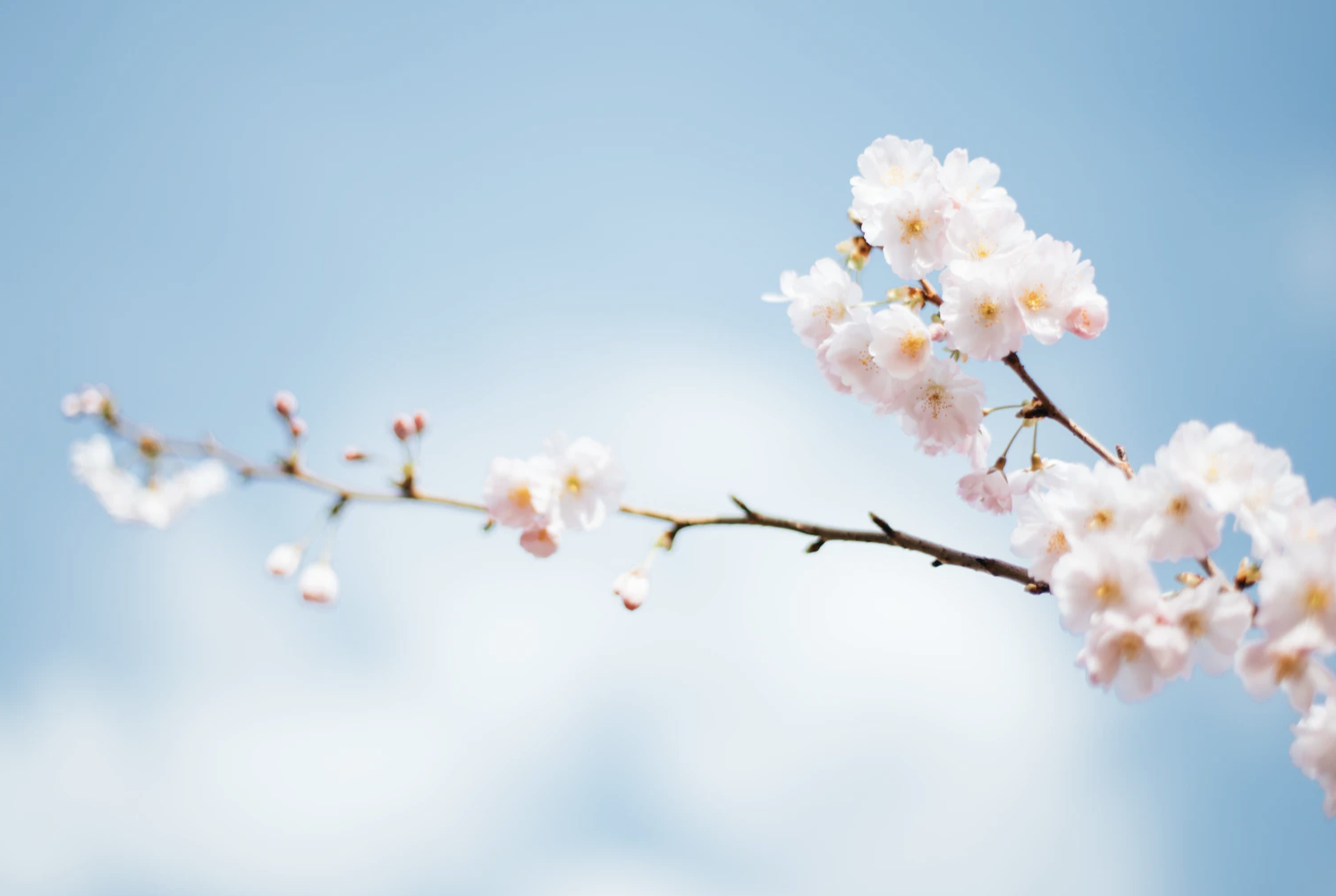 춘곤증 이유와 해결책은