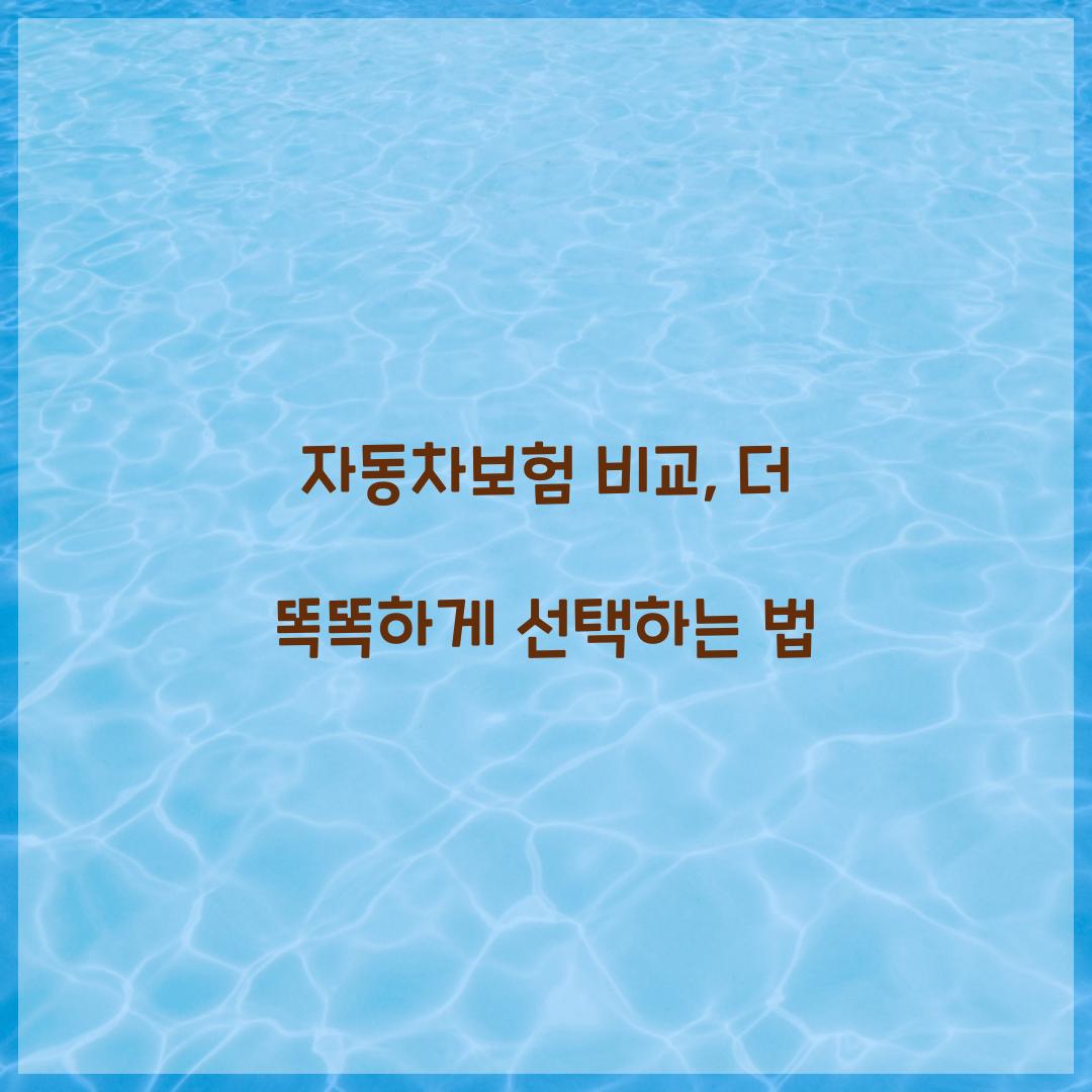 자동차보험 비교