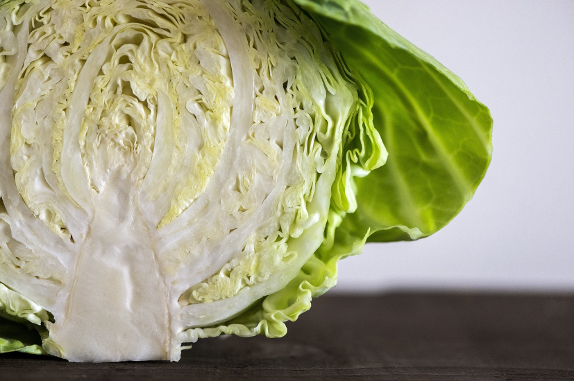 양배추_효능