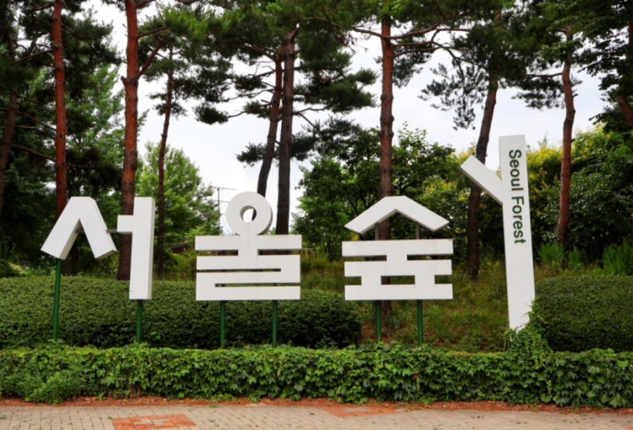서울숲