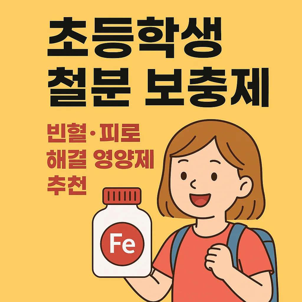 초등학생 철분 보충제 완벽 가이드
