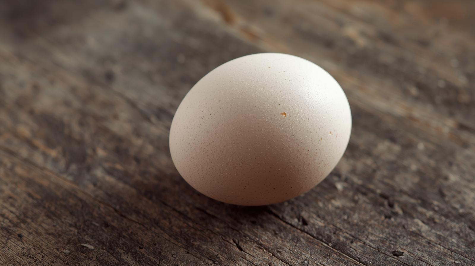 역류성식도염음식