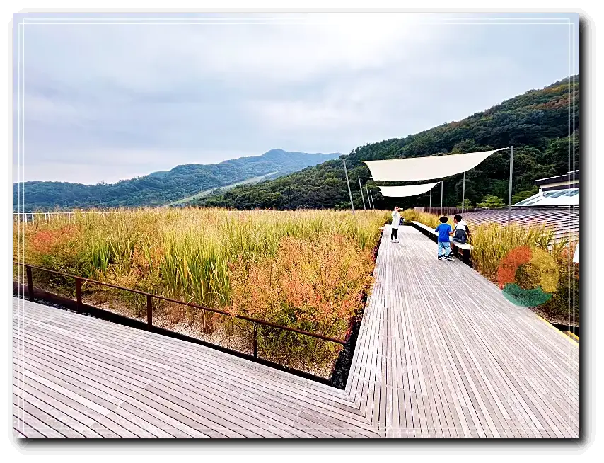 화담채_옥상-푸른산-하늘-누런벼-나무바닥-그늘막