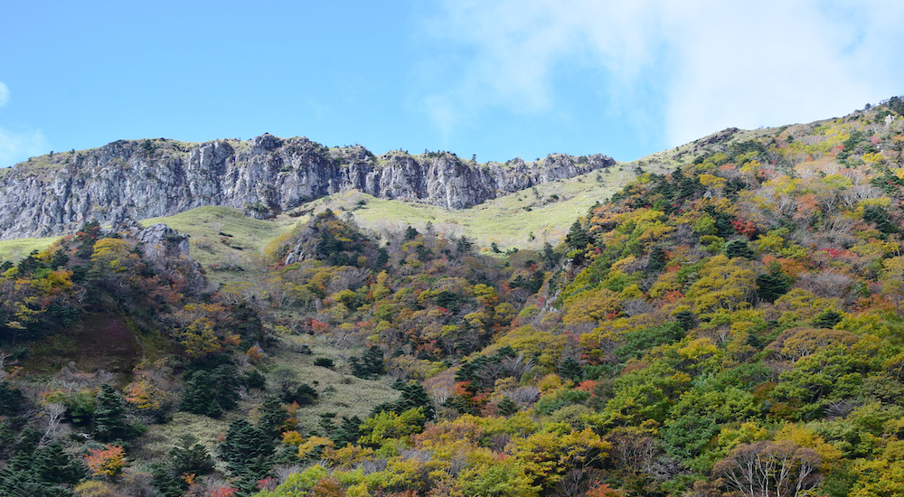 7월 한라산 특별 산행 예약 백록샘