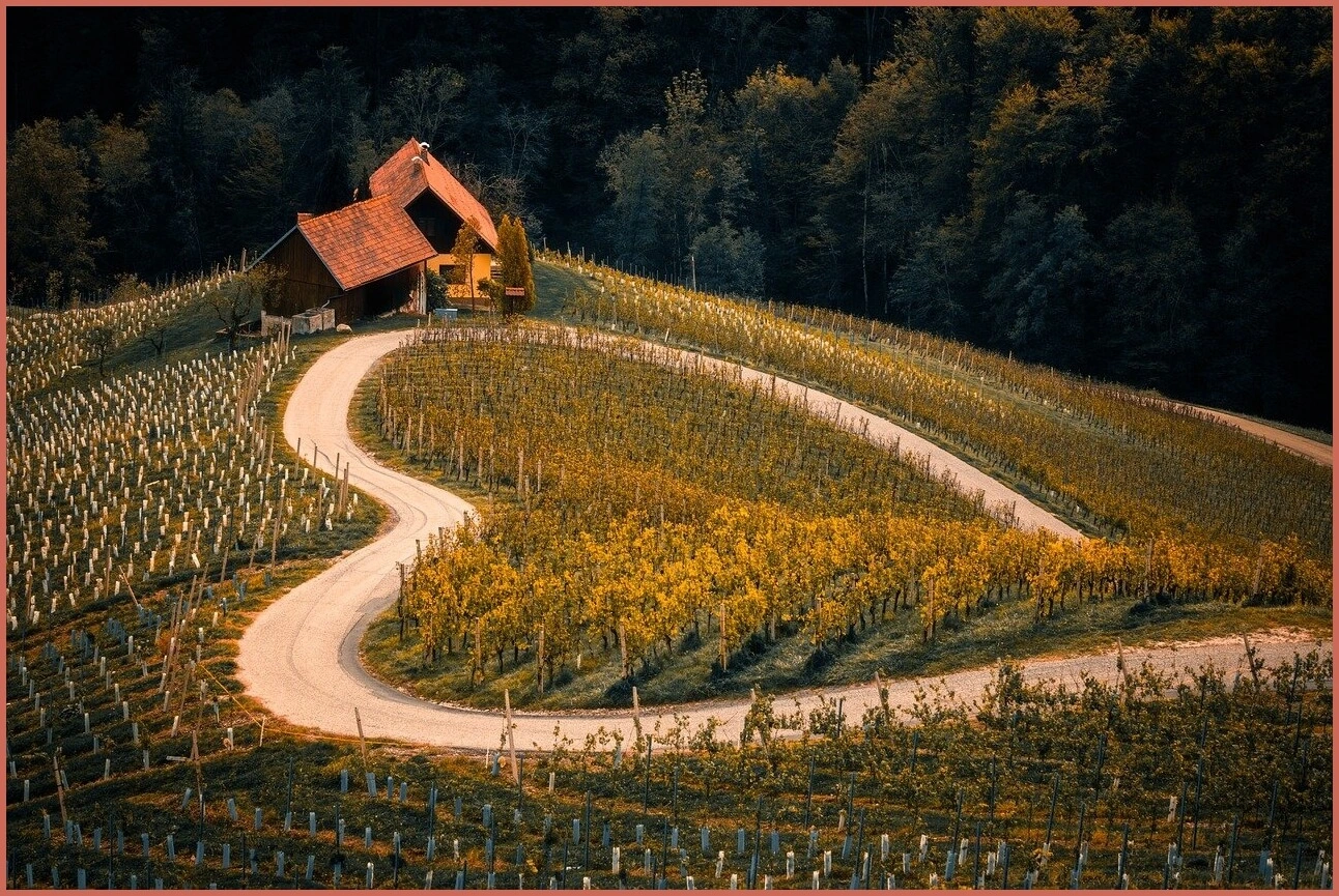 정기예금 금리 가장 높은곳