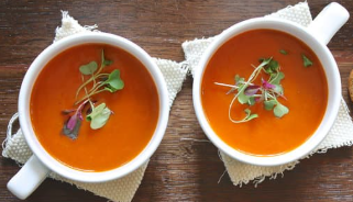 다이어트 식단 연예인