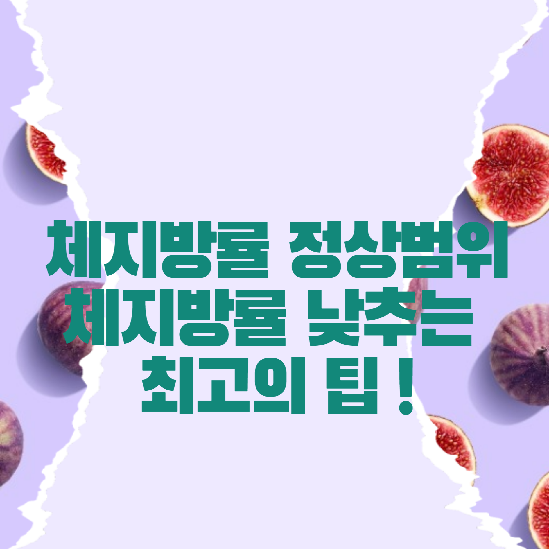 체지방률 정상범위
