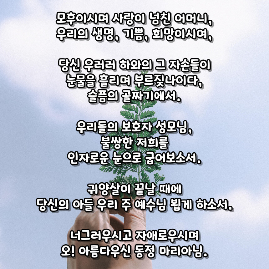 천주교 묵주 기도 성월 기도문_성월 기도