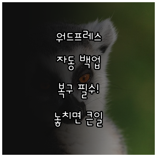 워드프레스 자동 백업 설정 핵심, 복..
