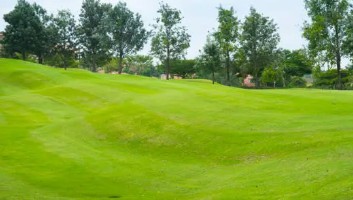 화천파크골프 예약