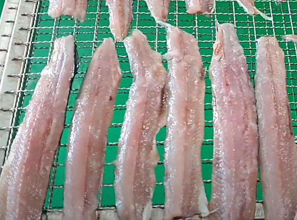 과메기 종류, 발과메기_독도사랑생방송판매자유튜브