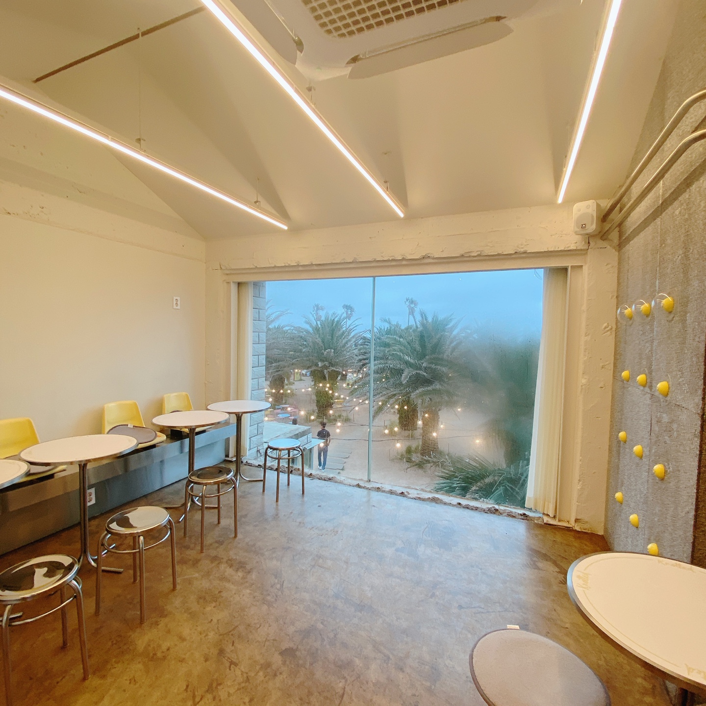 노티드 도넛 제주 애월 핫플레이스 우유크림 도넛 Knotted JEJU