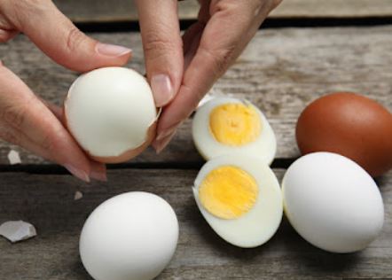 삶은 계란 보관법