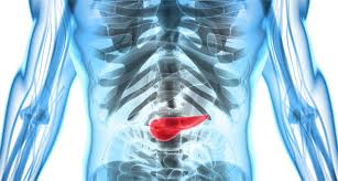 췌장암 의심 증상 여섯가지 발생원인 초기 의심 증상 검사방법 예방법