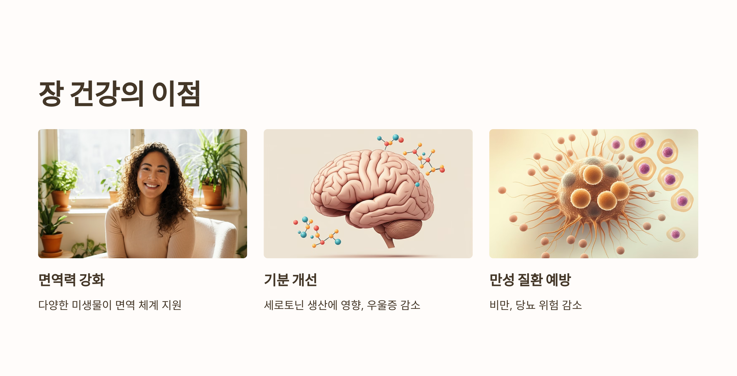 왜 이런 음식들이 좋은가요?