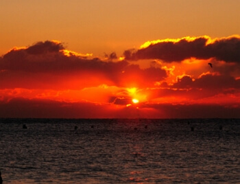 국내 일출 일몰 시간 조회 방법