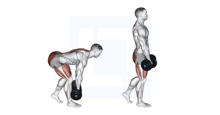 barbell rdl staggered / 바벨 루마니안 데드리프트 스태거드 동작 설명