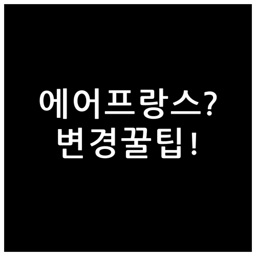 에어프랑스 비행기 좌석 변경 총정리 ..